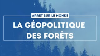 La géopolitique des forêts