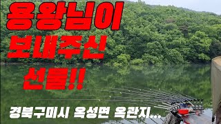 경북 구미시 청정 계곡지 용왕님이 선물해준~대물!