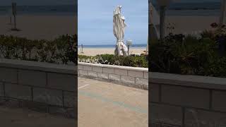 🌴🌴🚲Pista ciclabile di Montesilvano sul lungomare, tante palme come a Miami