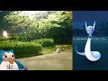 個体値100％pl30ミニリュウ ＆最近のパイルチャレンジ・ダイジェスト【ポケモンgo】