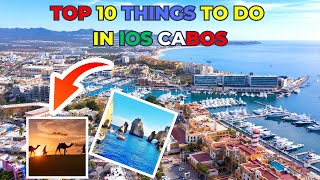 Cabo San Lucas Top 10 Best Tours You Can't Miss