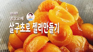 냉장고속 살구초로 젤리 만들기 ㅣ 최쌤 취미방