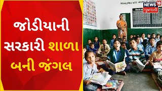 Jamnagar News : જોડીયાની સરકારી શાળા બની જંગલ | Government School | News In Gujarati