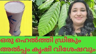 കൊക്കോ കായിൽ നിന്ന് ഒരു  ഹെൽത്തിഡ്രിങ്ക്/Healthy drink from cocoa seeds/smoothie/കൊക്കോ കൃഷി