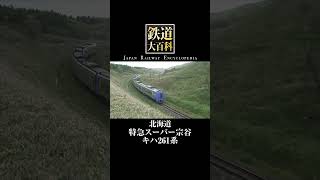 特急スーパー宗谷 キハ261系 #北海道 #鉄道大百科 #shorts