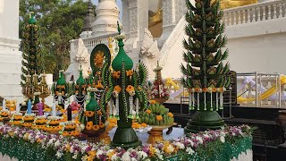 ชุดบวงสรวง...ณ.วัดสวนดอก(พระอารามหลวง)  อ.เมือง จ.เชียงใหม่  13 มีค.2565