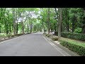 あづま総合運動公園の蝉時雨