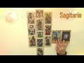 ♐️sagitario♐️ establecer prioridades ✨desde el 1 al 28 de febrero tarot 🔮