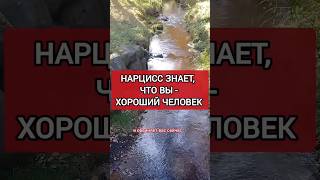 Нарцисс Знает, что ТЫ - Хороший Человек. Почему Нарцисс Обесценивает? #нарциссизм #нрл #отношения