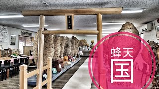 【外出】長野県 東御市「蜂天国」汎ゆる物に合体する巨大な蜂の巣