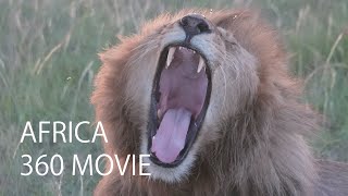 4K AFRICA ( TANZANIA / KENYA ) 360Wide Movie