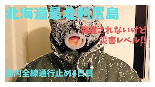 【北海道利尻島】大荒れ！大雪！猛吹雪！2024,1,25島内全線通行止め4日目・沓形本町の様子