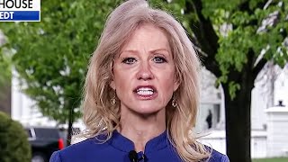 Kellyanne Conway Goes Full Stupid During Clueless Fox Interview