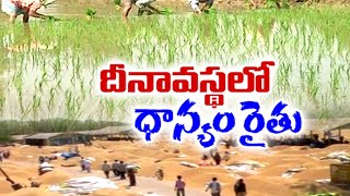 అప్పుల ఊబిలో చిక్కుకుంటున్న వరి సాగు రైతులు | Farmers Struggling as Crop Loss | Across State