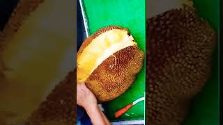 Big yummy jackfruit#Amazing#fruits