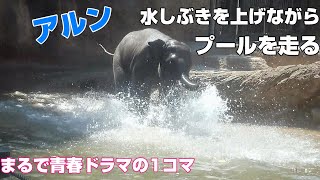 水しぶきを上げながらプールを走るアルン　まるで青春ドラマ　2022年5月29日