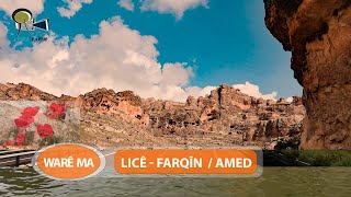 WARÊ MA - LICÊ - FARQÎN  / AMED (ARŞÎV)