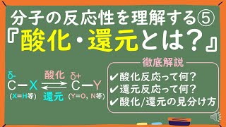 【大学有機化学】酸化還元反応をわかりやすく解説～酸化と還元の違いと見分け方～