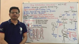 Pharmacokinetic (ADME) | Excretion of Drug From Body | Drug Excretion | Kinetics of Elimination