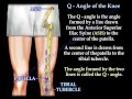 Q   Angle Of The Knee - Everything You Need To Know - Dr. Nabil Ebraheim