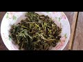 cleome gynandry pickle with dry fish របៀបធ្វេីជ្រក់មមាញ