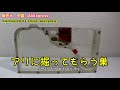 【アリの飼育記2冊目 46】色んなアリの巣買ってみた【レビュー】 bought a variety of ant nests.