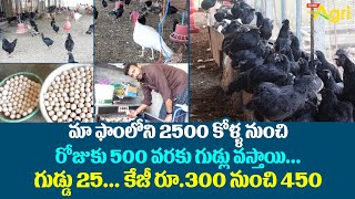 Natu Kollu Farming | Egg Production | మా ఫాంలోని 2500 కోళ్ళ.. గుడ్డు రూ.25, కేజీ రూ.450 | Tone Agri