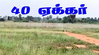 தென்காசி மாவட்டம், நடுவக்குறிச்சியில் 40 ஏக்கர் நிலம் விற்பனைக்கு வந்துள்ளது.