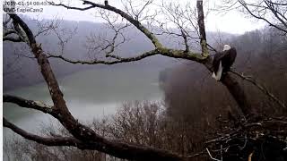 DH2019 River Flies Into the Fog, 011419