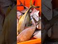 variety of fishes in fish market#fish #ocean #wild