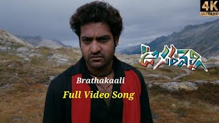 Brathakaali | Full Video Song | 4K | Blue Ray | Oosaravelli Video Songs | Dolby Audio | ULTRA HD |