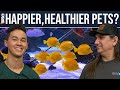 An Attainable Introduction to Keeping Saltwater Fish Healthier & Living Longer. EP: 1