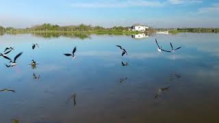 FONATUR - UNAM Playa Espíritu Versión Ingles