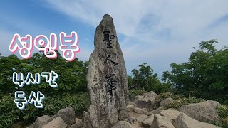 Ep. 58:) # 울릉도 여행기 5 /성인봉(KBS중계소~나리분지)