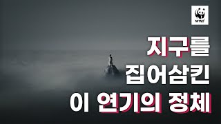 지구를 삼키는 '연기'의 정체?🏭 - WWF와 함께 기후 위기를 막아주세요!