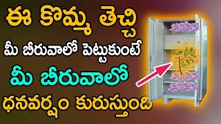 ఈ కొమ్మ తెచ్చి  మీ బీరువాలో పెట్టుకుంటే మీ బీరువాలో ధనవర్షం కురుస్తుంది | Mana Nidhi