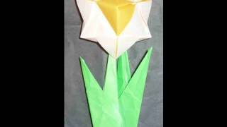 How to make Easy 3D Origami Flower Daffodil Narcissus 水仙花折り紙 Narciso Flor Narsisis