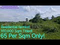 #vlog #628 Residential Farmlot 65 per Sqm only!with Riceland and Pasture land!