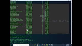 using tasklist and taskkill in cmd