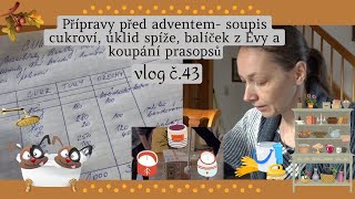 Přípravy před adventem- soupis cukroví, úklid spíže, balíček z Evy a koupání prasopsů vlog č. 43