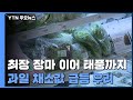 최장 장마 이어 태풍까지...과일 채소값 급등 우려 / YTN