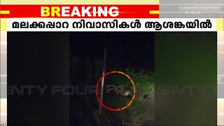 തൃശൂർ മലക്കപ്പാറയിൽ പുലി സാന്നിധ്യം; മലക്കപ്പാറ നിവാസികൾ ആശങ്കയിൽ