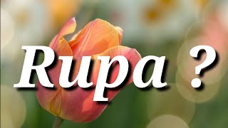 Rupa Name Status | Rupa Name Meaning | Rupa Name WhatsApp Status | Magic of Name