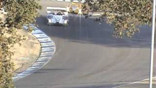 ALMS 2008: Laguna Seca