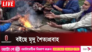 তাপমাত্রা নামলো ৯ ডিগ্রিতে; দেখা নেই সূর্যের | Winter Chuadanga | Independent TV