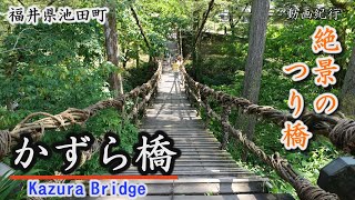 絶景の吊り橋「かずら橋」～池田町【動画紀行・福井県】