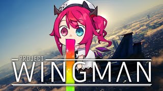 【Project Wingman】My Wings will TAKE FLIGHT