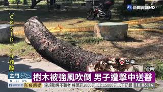 台南樹木被強風吹倒 男子遭擊中送醫｜華視新聞 20201230