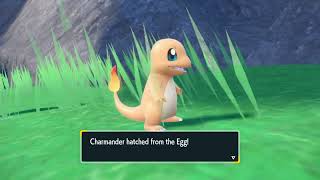 How to get Charmander and Charizard in Pokémon Scarlet and Violet