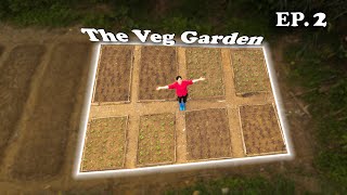 Miraculous transformation: From an abandoned field to a COOL GREEN VEGETABLE GARDEN || EP. 2